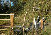 Another incident of flytipping near Crediton