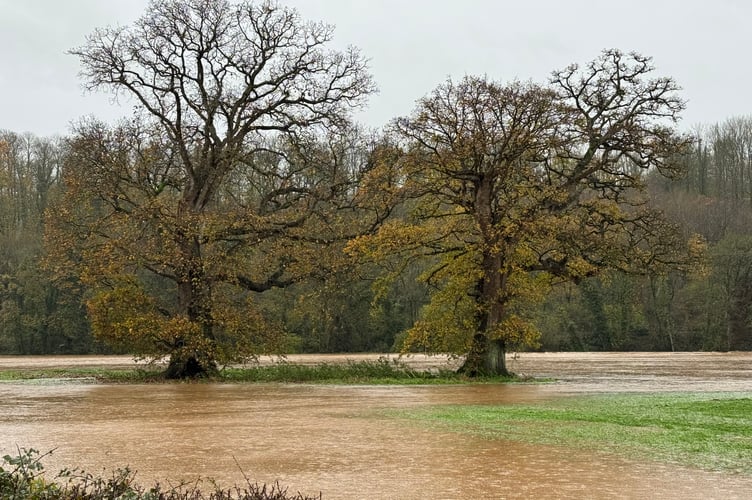 Flooded fields near Crediton.  AQ 8514
