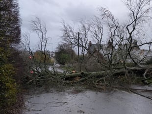STORM BERT: Road closures and trees down at Crediton
