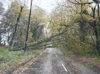 Devon recovers from Storm Bert