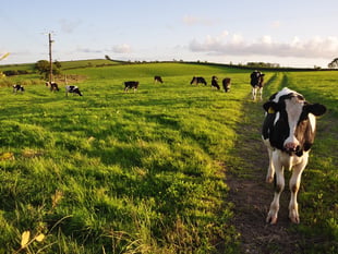 Sort out ‘tax-dodge farmers' call from Devon MPs