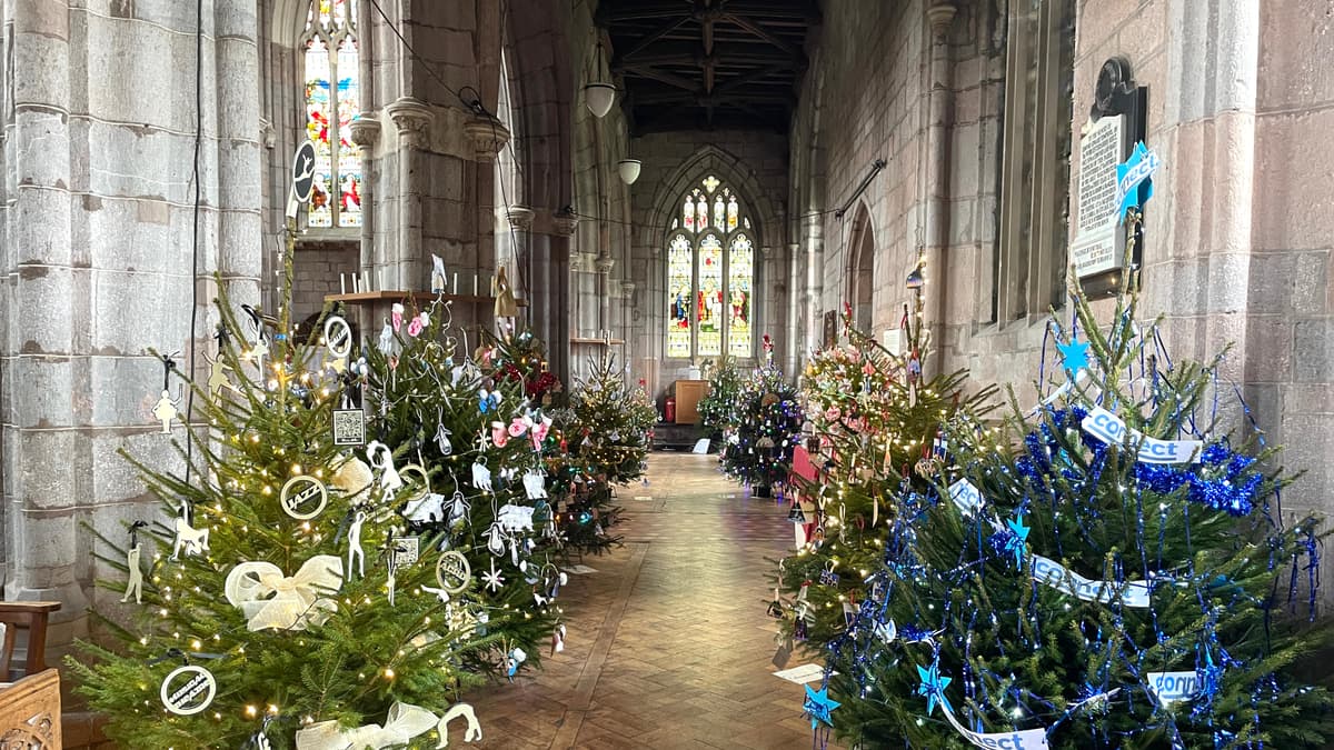 Crediton Christmas Tree Festival begins tomorrow creditoncourier.co.uk