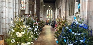 Crediton Christmas Tree Festival begins tomorrow
