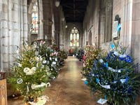 Crediton Christmas Tree Festival begins tomorrow