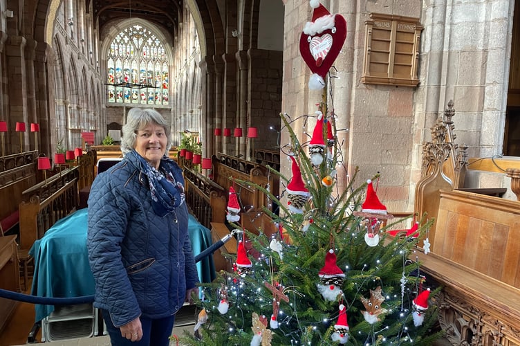 Christine Harris decorated the Redlands Primary Care League of Friends tree. She handmade many of the decorations, knitting mini Santa hats and using pine cones, lollipop sticks and other items (Will Goddard, Crediton Courier)