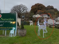Information appeal after businesses Christmas decorations stolen
