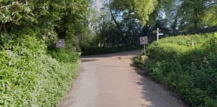 Storm Darragh: Tree down and debris on Crediton-area roads