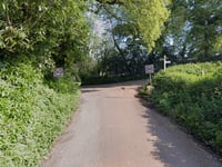 Storm Darragh: Tree down and debris on Crediton-area roads