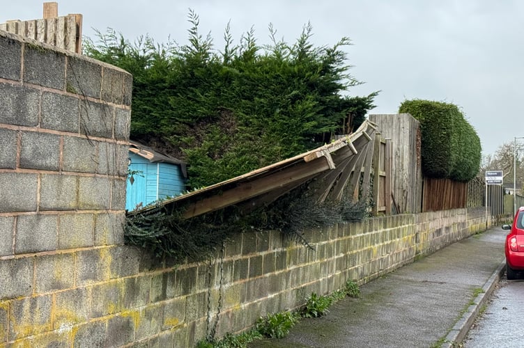The fence which is coming down on Jockey Hill, Crediton.  AQ 9410
