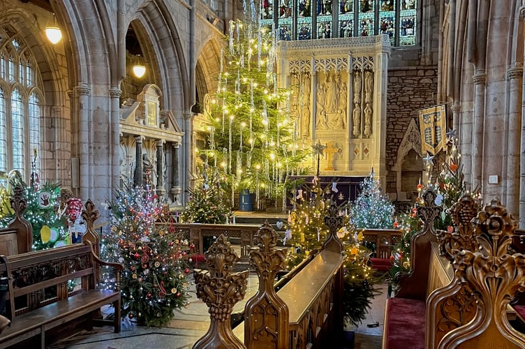 The tree at the High Altar and some of the other decorated trees during the Christmas Tree Festival in Crediton Parish Church.