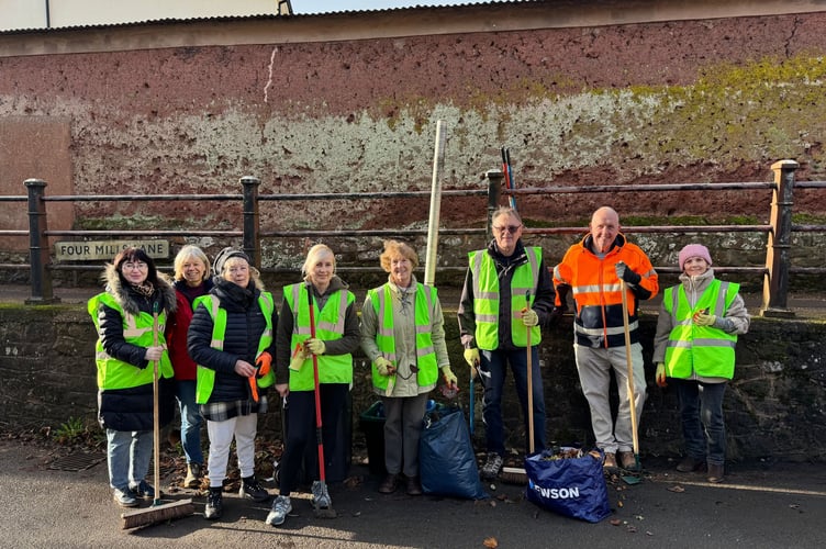 The volunteers who took part in the last Crediton Urban Taskforce action event in Exeter Road. AQ 9836