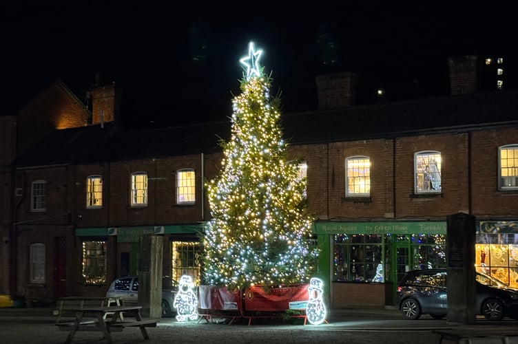 The well lit giant tree in the town square in Crediton.  AQ 9661
