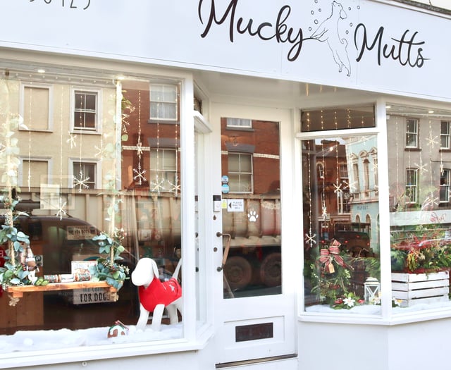 Photography exhibition for RSPCA coming up in Crediton