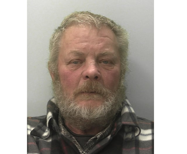 Devon man jailed for rape and sexual offences against children