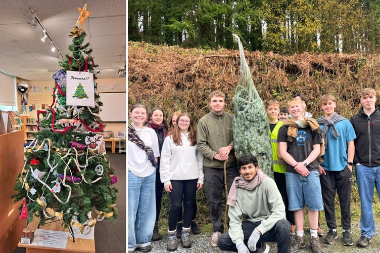 L: QE's Year 7's Christmas tree was declared the winner at Barnfield Library. R: Sixth Form students who made a nine-mile trip to get their Christmas tree