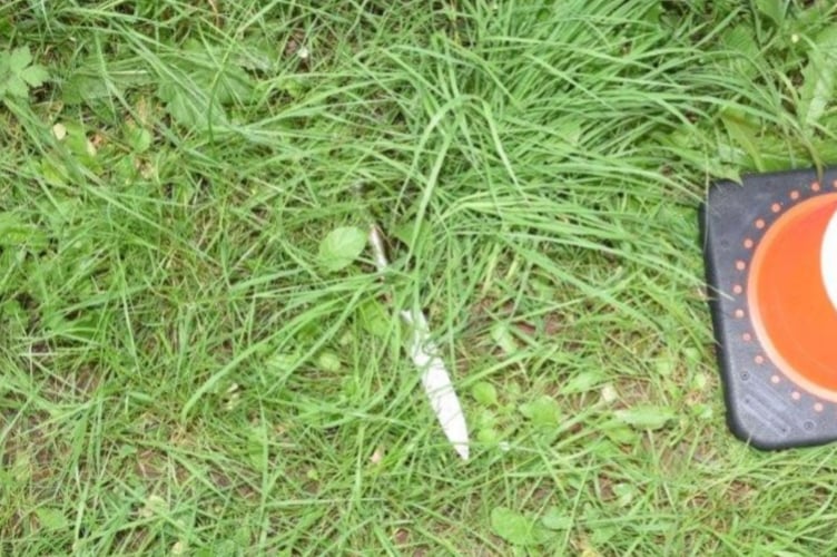 The discarded kitchen knife