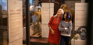 Relaxed Sessions at RAMM: Enjoy the Museum at a calmer pace
