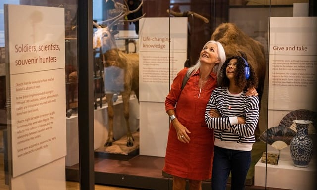 Relaxed Sessions at RAMM: Enjoy the Museum at a calmer pace
