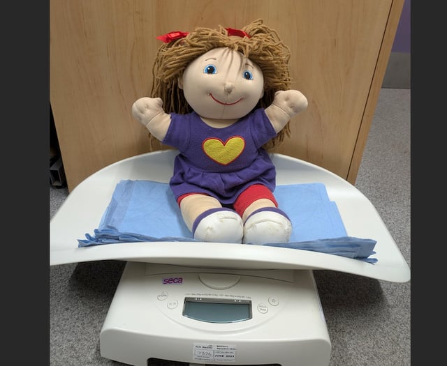 Family Support at Crediton Library
