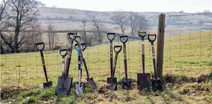 Volunteers needed to help create new woodland site