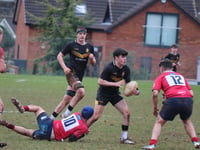 Crediton Colts triumph over Devonport
