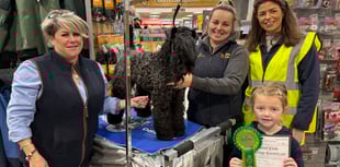 A great Pet Weekend at Mole Avon in Crediton
