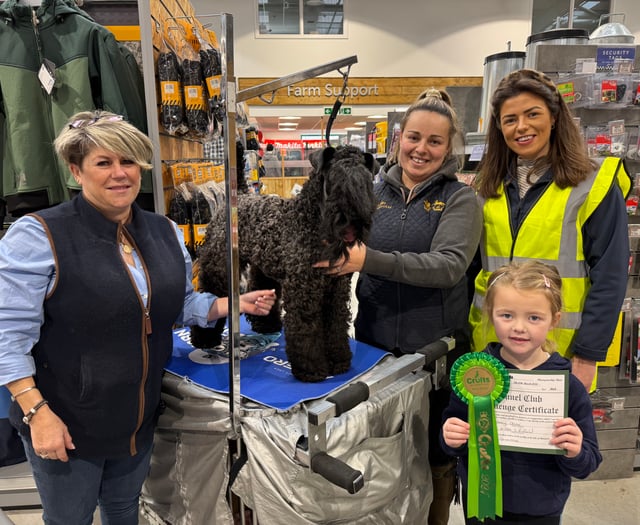 A great Pet Weekend at Mole Avon in Crediton
