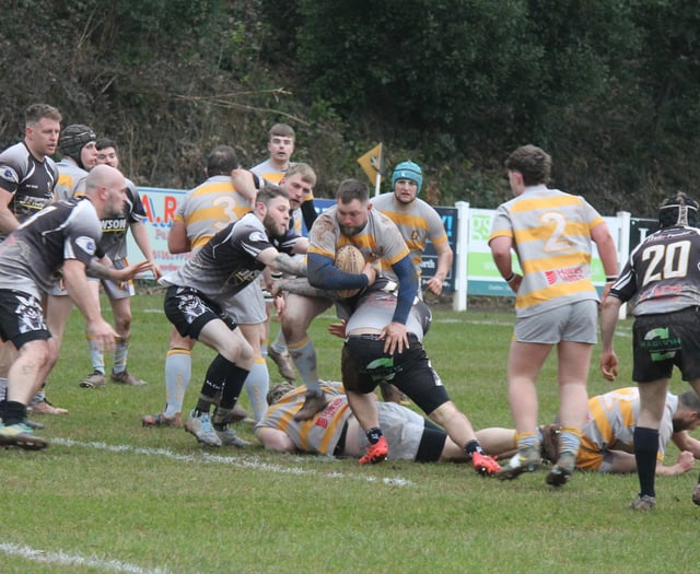 Crediton Thirds fine win against South Molton Seconds
