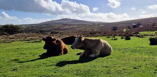 Devon County Council’s farms rent arrears rises above £400,000