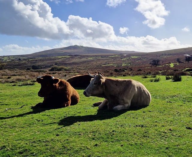 Devon County Council’s farms rent arrears rises above £400,000