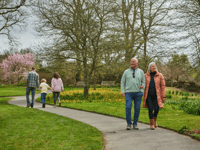 Special £1 ticket offer at RHS Rosemoor