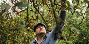 Devon's Farms Estate are the county's 'Crown Jewels'
