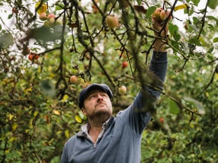 Devon's Farms Estate are the county's 'Crown Jewels'
