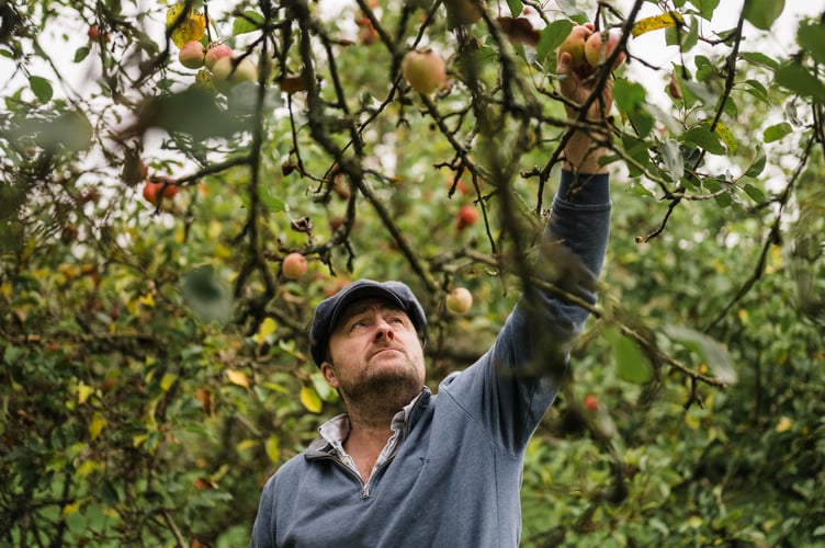 Barny Butterfield of Sandford Orchards.
