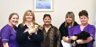 Crediton Care Services in new Market Street home