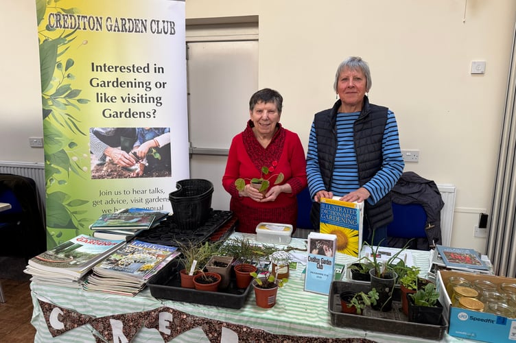 Crediton Garden Club had a stall at the Seed Share.  AQ 4441
