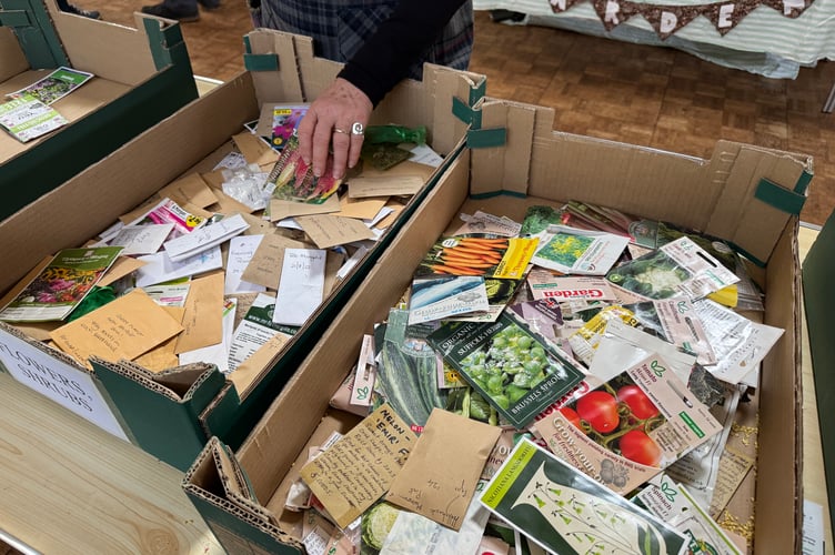 Some of the seeds available at the Crediton Seed Share.  AQ 4439
