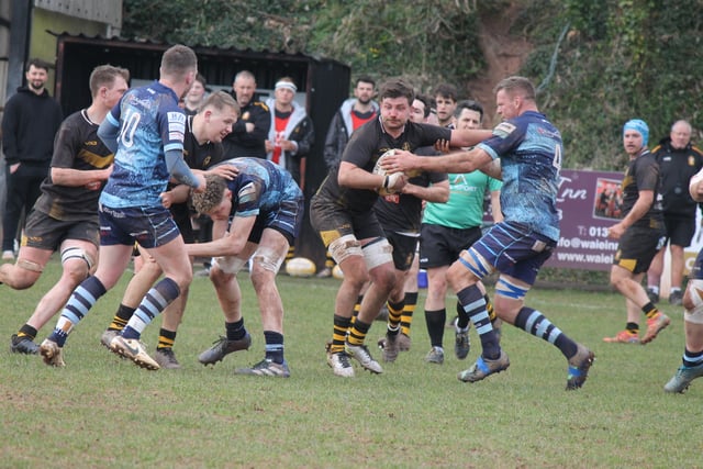 Crediton RFC Firsts triumph over Tiverton in local derby

