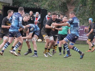 Crediton RFC Firsts triumph over Tiverton in local derby
