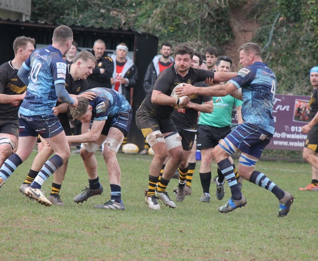 Crediton RFC Firsts triumph over Tiverton in local derby
