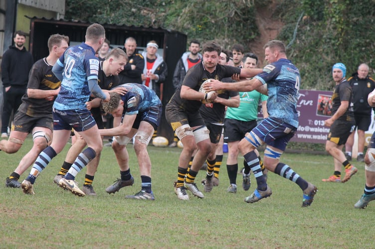A Crediton player in possession during the Firsts game against Tiverton.  AQ 0733

