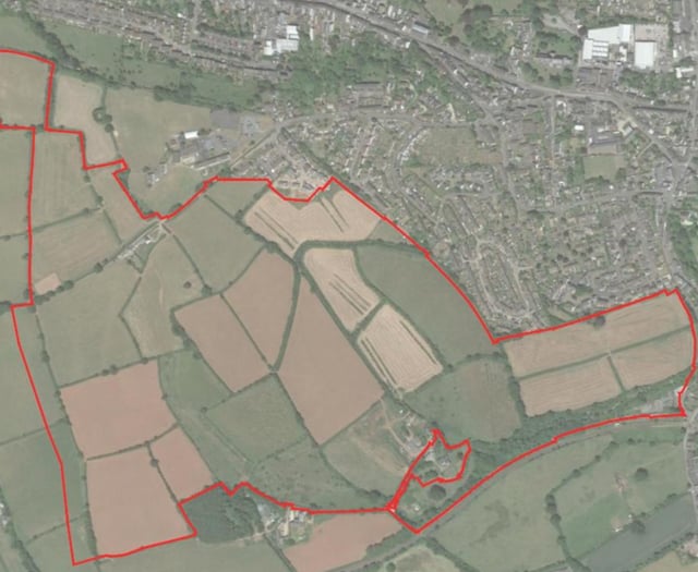 What kind of development does Crediton need?
