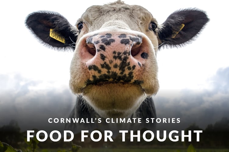 Food for Thought is the title of the film.
