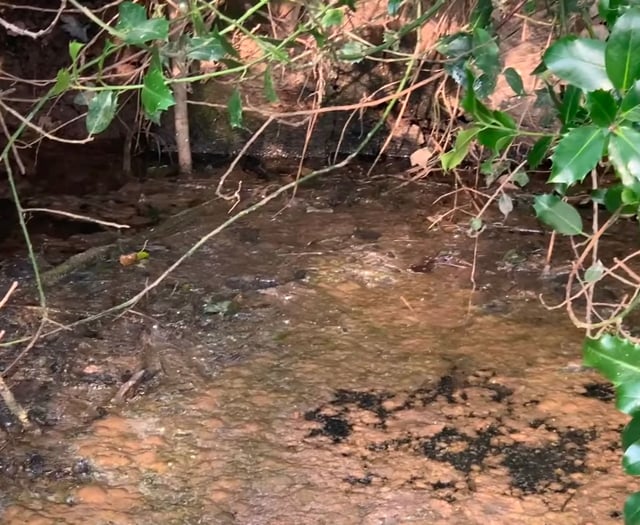 Owner shuts Lapford Mill over sewage incident