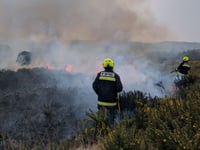 Police investigate possible Exmoor arson attacks