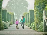 Dogs to be allowed at RHS Rosemoor in trial