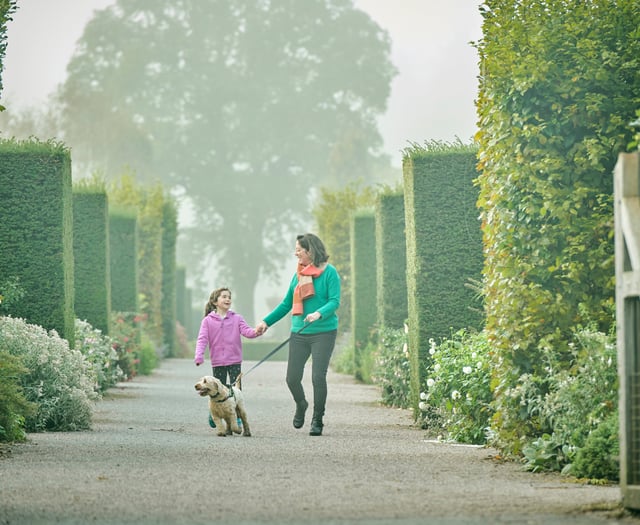 Dogs to be allowed at RHS Rosemoor in trial