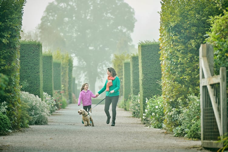 Dog-walkers are welcome to go along to the gardens in Torrington on Mondays, Tuesdays and Wednesdays