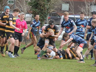 Crediton RFC Thirds resounding win over Tiverton
