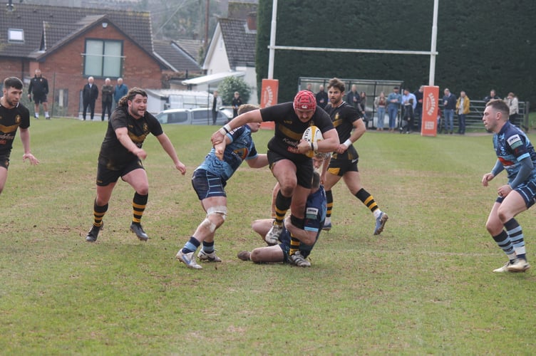 A Crediton player powering through during the game against Tiverton.  AQ 0721
